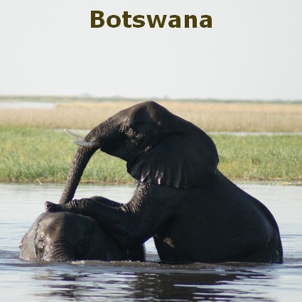 Botswana Safaris LB