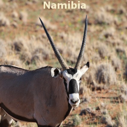 Namibia Safaris LB